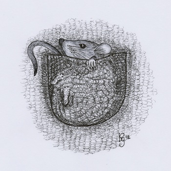 Pocket-Mouse_350