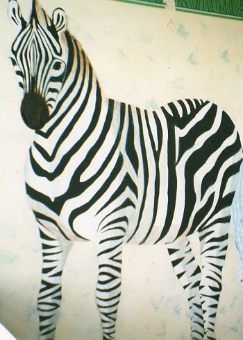 Zebra